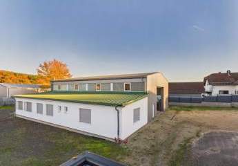 456746-Vorschaubild3