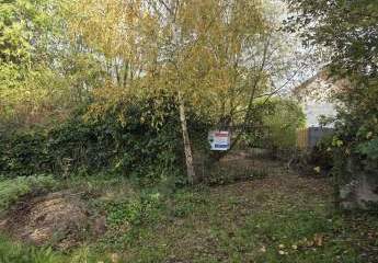 462458-Vorschaubild4