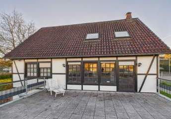 462482-Vorschaubild3