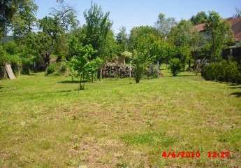 474158-Vorschaubild2