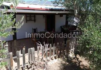 462159-Vorschaubild3