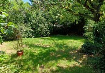 464975-Vorschaubild3