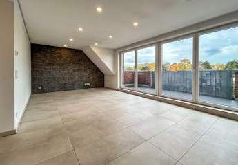 454305-Vorschaubild2