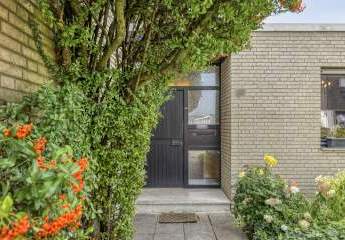 459730-Vorschaubild2