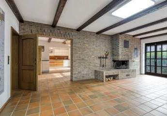 478167-Vorschaubild3