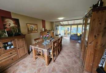 451506-Vorschaubild3