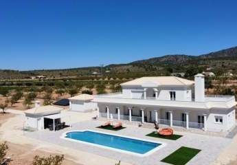 Discover your dream in the heart of Pinoso, Alicante, whe...