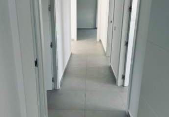 452071-Vorschaubild3