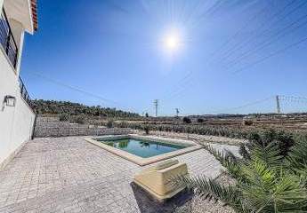 452944-Vorschaubild4