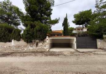 452945-Vorschaubild3