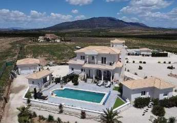 452950-Vorschaubild3