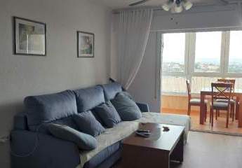 451879-Vorschaubild2