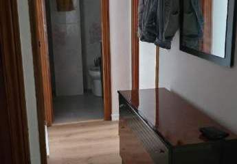 451879-Vorschaubild4