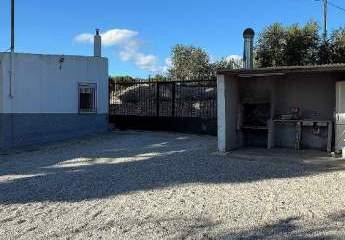 466605-Vorschaubild3