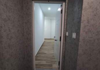 466613-Vorschaubild3