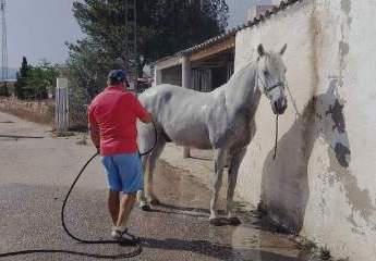 466614-Vorschaubild3