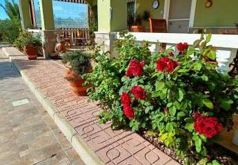 466626-Vorschaubild4