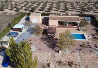 466627-Vorschaubild3