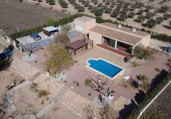 466627-Vorschaubild4