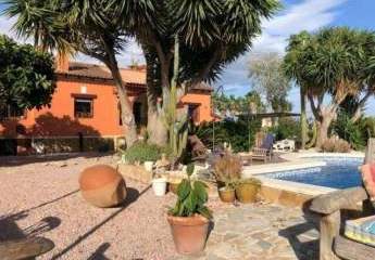 466629-Vorschaubild3