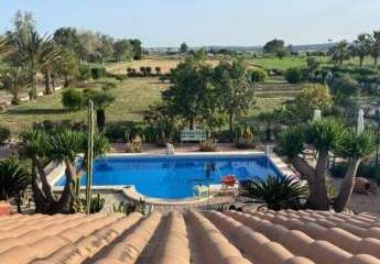 466629-Vorschaubild4