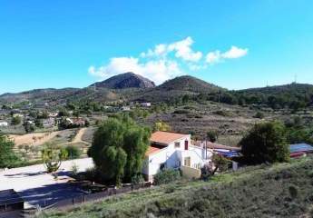 466631-Vorschaubild2