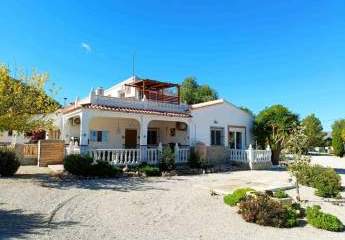 466631-Vorschaubild3