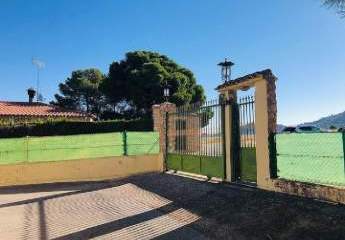 466635-Vorschaubild4