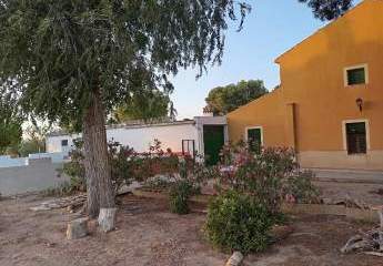 466637-Vorschaubild4