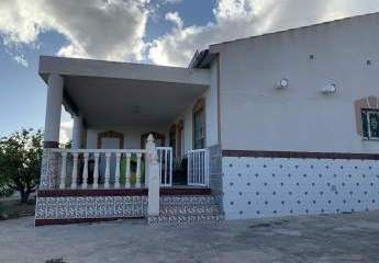 466648-Vorschaubild4