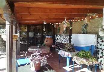 466653-Vorschaubild4