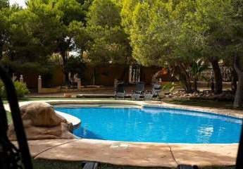 466655-Vorschaubild3