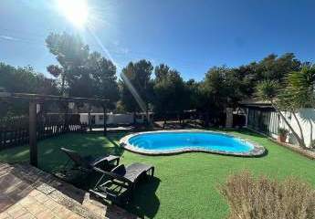 466658-Vorschaubild2