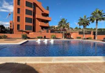 466665-Vorschaubild2