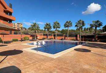 466665-Vorschaubild4