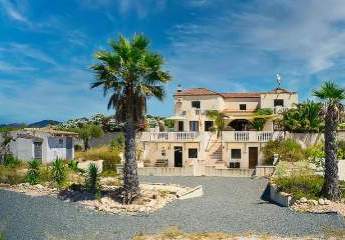 466670-Vorschaubild2