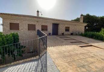 466671-Vorschaubild4