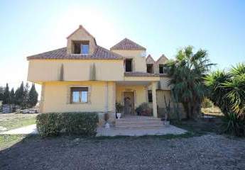 466674-Vorschaubild2