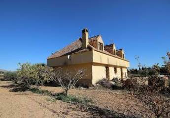 466674-Vorschaubild4