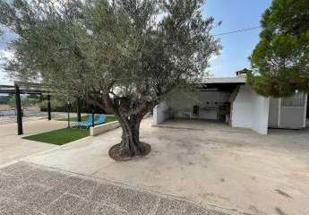 466680-Vorschaubild4