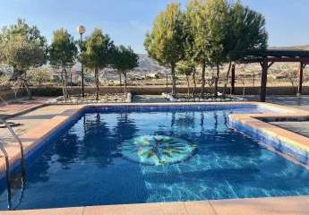 466688-Vorschaubild4