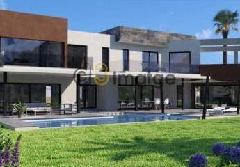 466691-Vorschaubild3