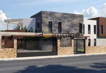 466691-Vorschaubild4