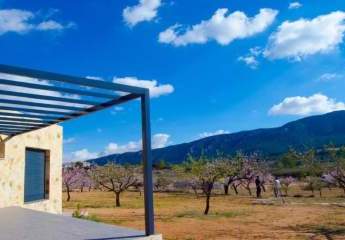 466692-Vorschaubild3