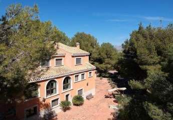 466697-Vorschaubild2