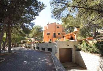 466697-Vorschaubild3