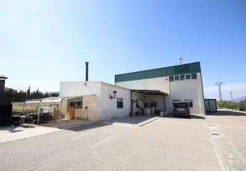 Freistehende Villa mit Gewerbeeinheit zwischen Monovar un...