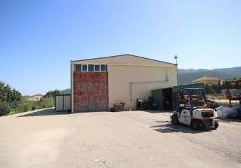 466698-Vorschaubild2