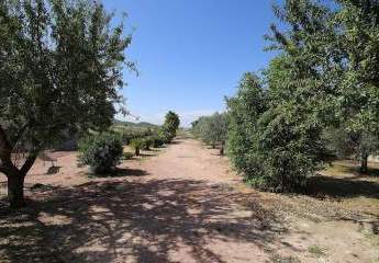 466698-Vorschaubild3