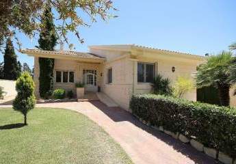 466704-Vorschaubild2